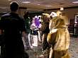019FursuitGames.JPG