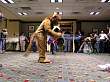 028FursuitGames.JPG