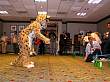 031FursuitGames.JPG