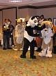 047FursuitGames.JPG