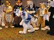 050FursuitGames.JPG