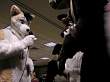 054FursuitGames.JPG