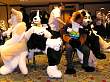 055FursuitGames.JPG
