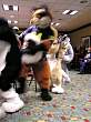 059FursuitGames.JPG