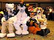 061FursuitGames.JPG