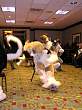 066FursuitGames.JPG