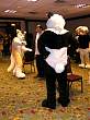 072FursuitGames.JPG