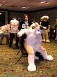 073FursuitGames.JPG