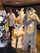 074FursuitGames.JPG