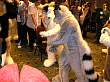 076FursuitGames.JPG